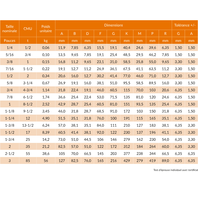 Manille de levage droite - 1212 - LIFTEUROP